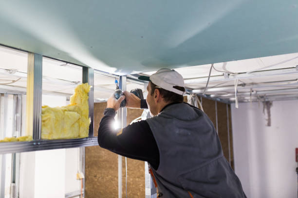 Best Commercial Insulation in South Whittier, CA